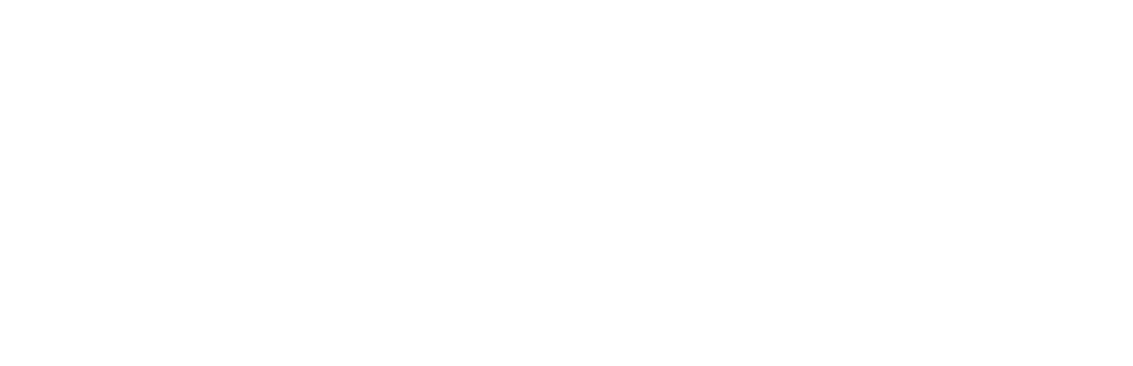laserfalke logo logotype branding marke